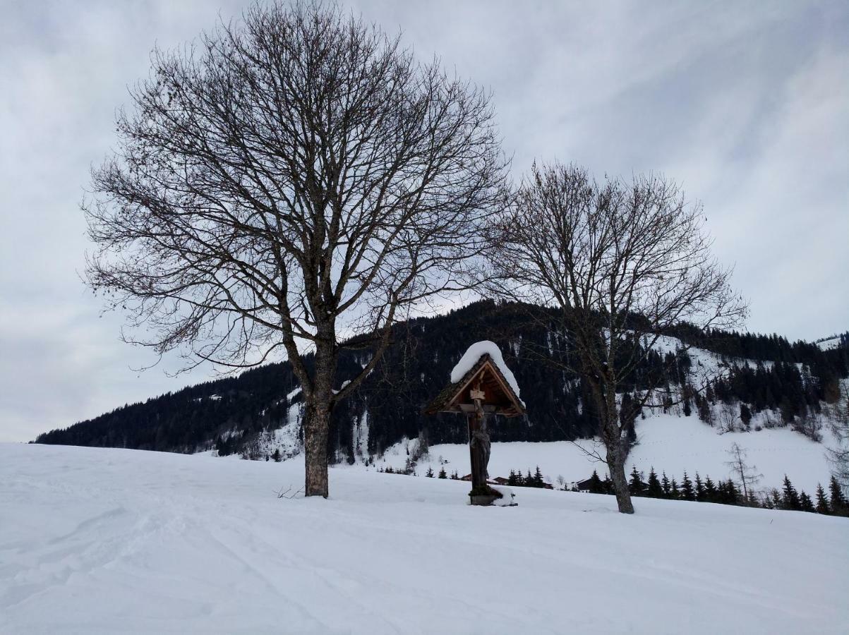 Appartements Haus Bergland Sankt Martin am Tennengebirge Exterior photo